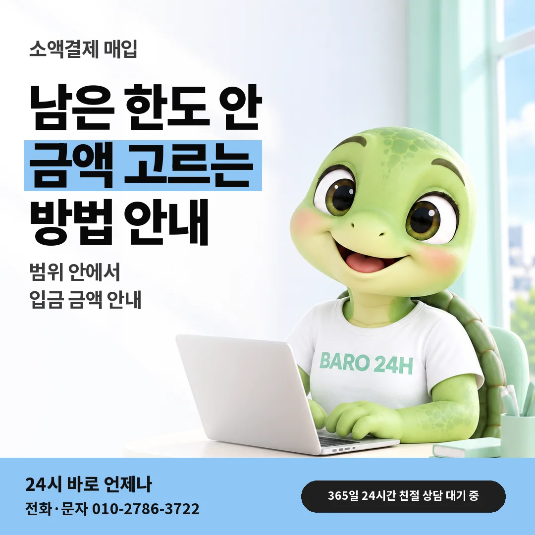 BARO 24H 티셔츠를 입은 3D 거북이 캐릭터 옆에 「남은 한도 안에서 고르기」 제목을 얹은 안내 카드